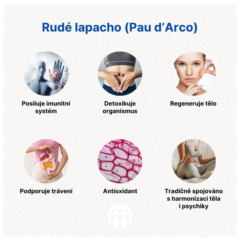 Rudé lapacho (Pau d’Arco)